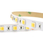 SMD5050 DUAL WHITE 2 IN 1 LED STRIP SERIES